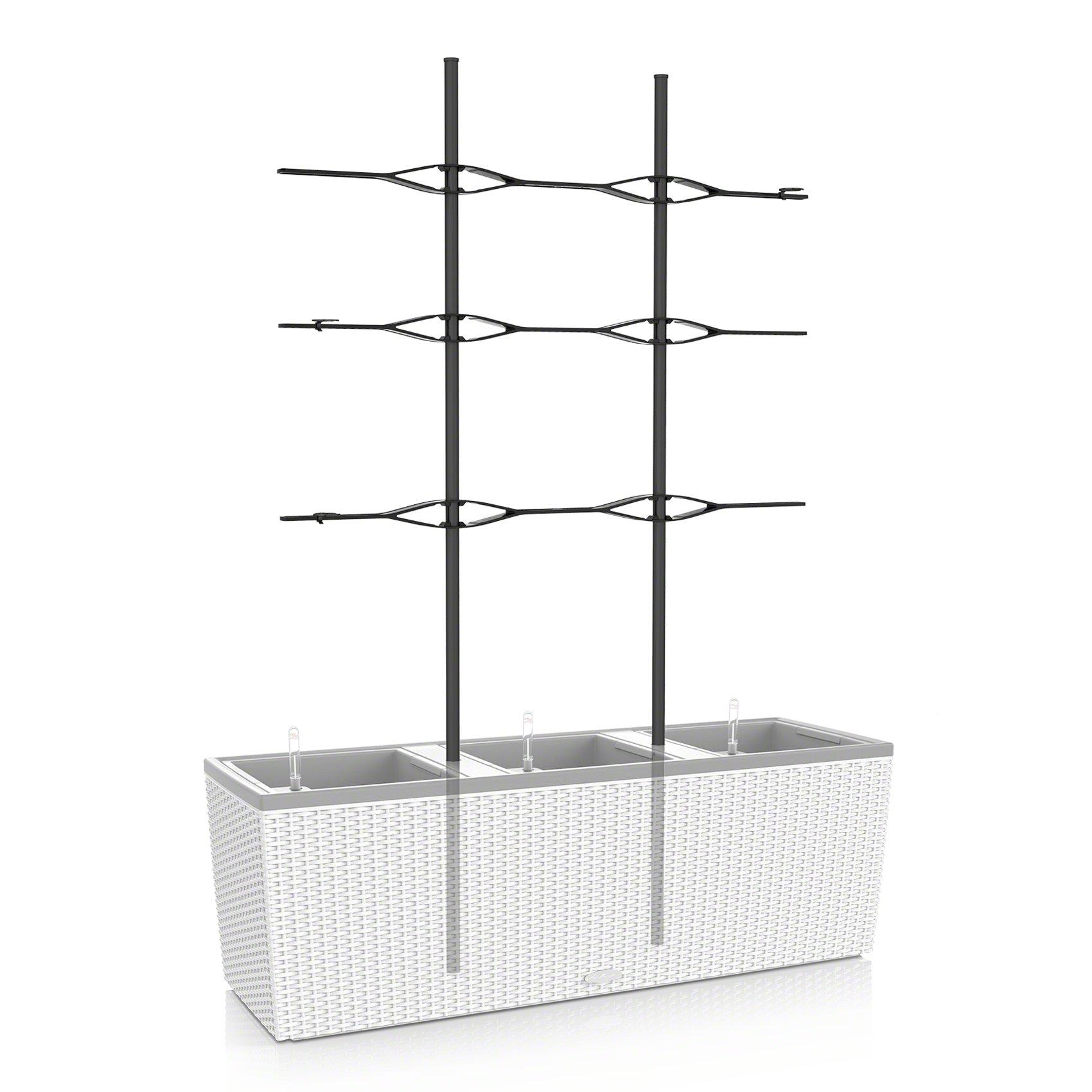 Trellis for TRIO 40